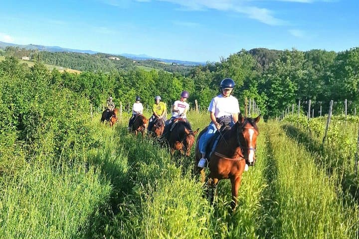 Ride the Sienese Hills: Horseback Adventure in the Tuscan Countryside photo 4