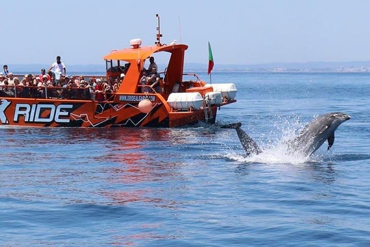 Algarve 4x4 Safari and Coastal Boat Tour — Mountains, Springs & Dolphins photo 4