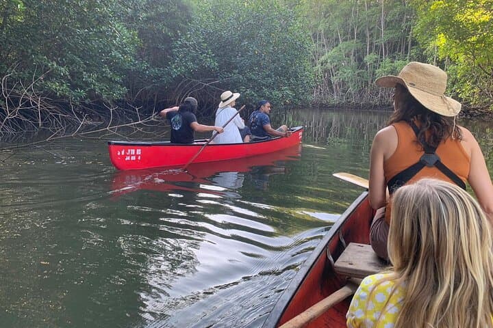 Private Mangrove Canoe Safari at Marino Las Baulas: Silent Wildlife Viewing photo 2