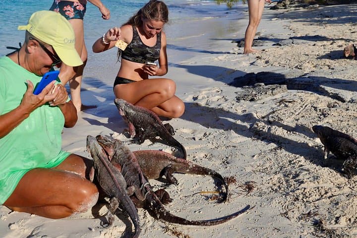 Iguana Park Tour Roatán — 3‑Hour Island Wildlife, Chocolate & Rum Experience photo 3