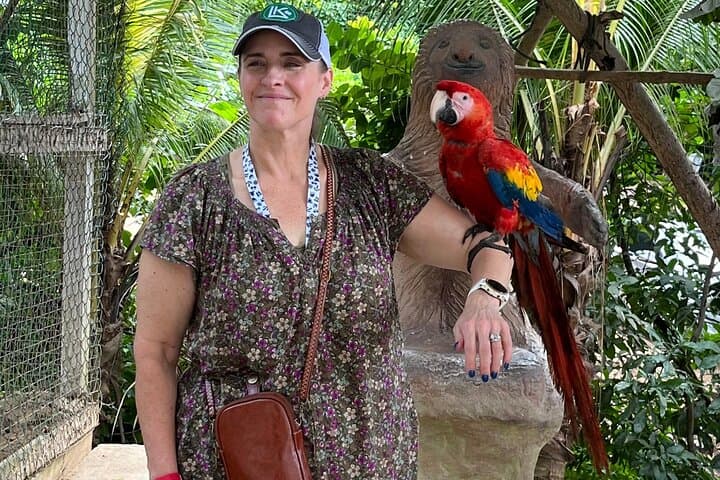 Private Sloth & Monkey Park Tour in Roatán: Wildlife, Chocolate & Rum Tasting photo 4