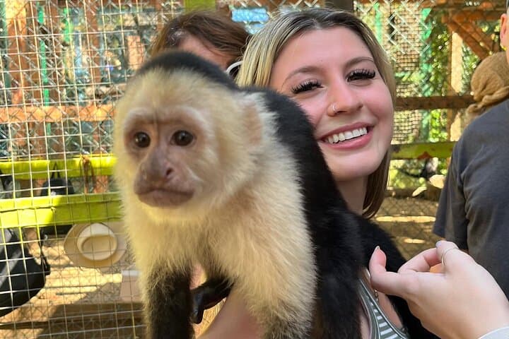 Private Sloth & Monkey Park Tour in Roatán: Wildlife, Chocolate & Rum Tasting photo 2
