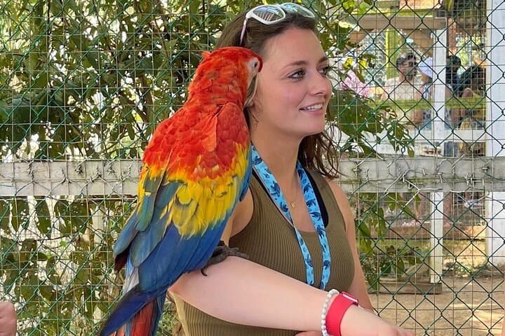 Private Sloth & Monkey Park Tour in Roatán: Wildlife, Chocolate & Rum Tasting photo 3