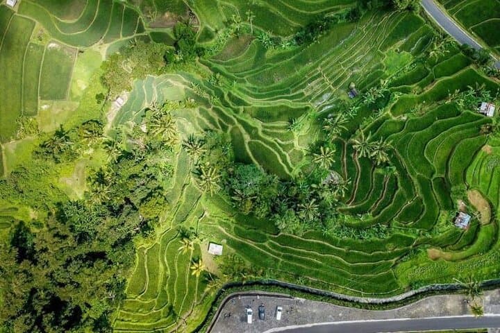 Hike Jatiluwih Rice Terraces: Self-Guided Walks in Bali's UNESCO Landscape photo 3