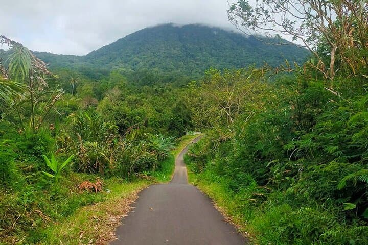 Hike Jatiluwih Rice Terraces: Self-Guided Walks in Bali's UNESCO Landscape photo 4