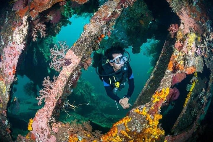 Explore Amed & Tulamben: Full-Day Snorkel Tour to the Liberty Wreck and Jemeluk Bay photo 3