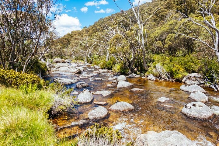 Snowy Mountains NSW Private Tour: 3-Day Roundtrip from Sydney