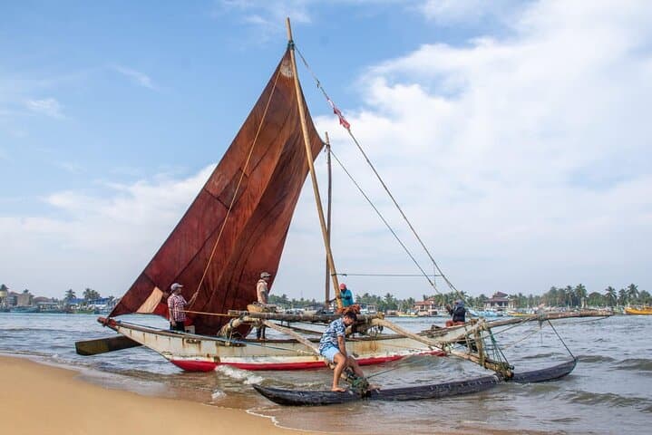 Sri Lanka 12-Day Sun, Sand, Safari & Culture Tour — Beaches, Elephants, Tea and Ruins photo 2