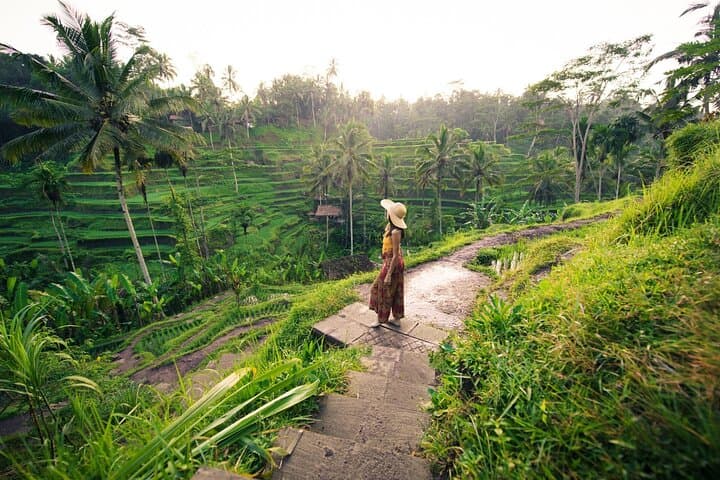 Private Ubud Tour: Monkey Forest, Tegalalang Rice Terrace & Waterfall