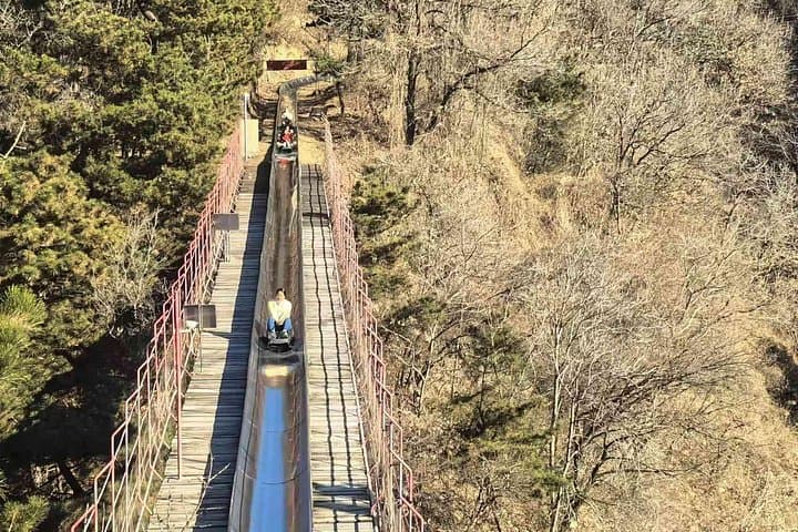 Full-Day Mutianyu Great Wall & Forbidden City Tour from Beijing photo 6