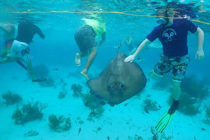 North Sound 3-Stop: Stingray City, Starfish Point & Coral Gardens Snorkel Adventure photo 4