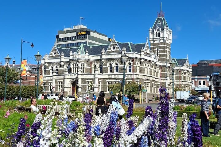 Private Dunedin & Otago Peninsula Wildlife Tour: Albatross, Seals & Scenic Drives photo 1