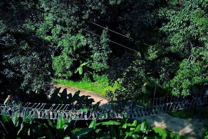 Sky Hawk Zipline Chiang Mai: High-Speed Canopy Course Over Northern Thailand photo 4