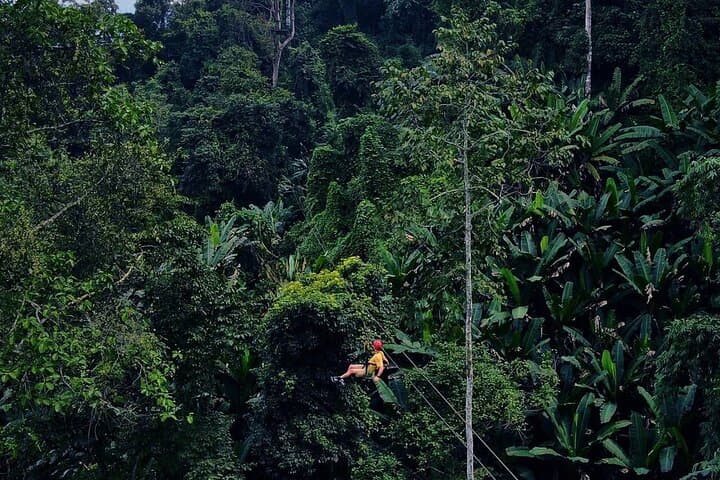 Sky Hawk Zipline Chiang Mai: High-Speed Canopy Course Over Northern Thailand photo 5
