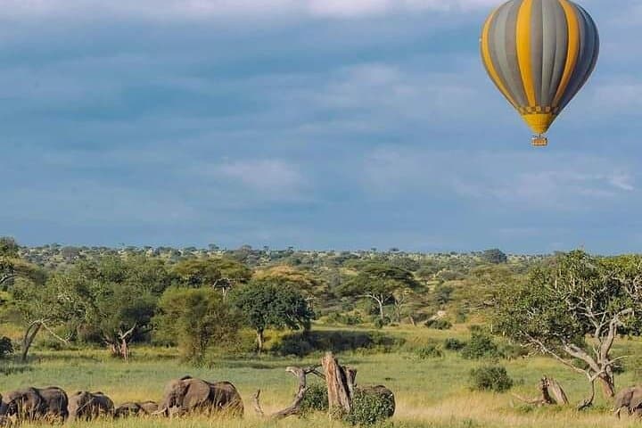 Amboseli Elephant Trail: 3-Day Safari Under Kilimanjaro