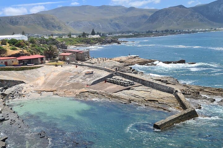 Hermanus Whale Watching: Cape Town Boat Tour to See Southern Right Whales photo 6