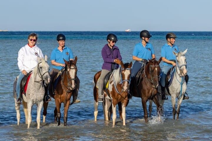 Sunset Horseback Ride, Camel Trek & Bedouin Dinner Near Hurghada