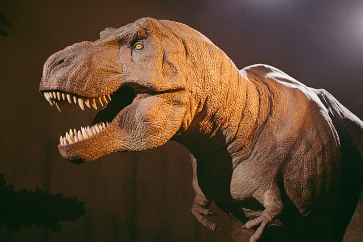 Natural History Museum London Express Tour & Multilingual Audio Guide photo 5