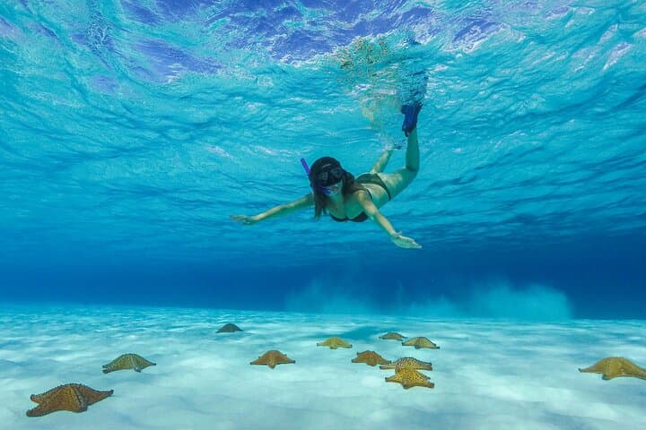 Cozumel Catamaran Snorkel: Palancar Reef & El Cielo with Local Lunch