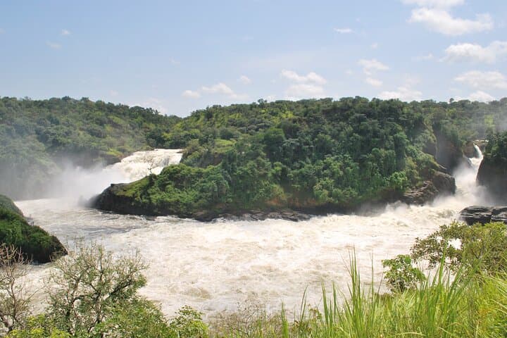 3-Day Murchison Falls Big Five Safari — Rhino Tracking, Game Drives & Nile Boat Trip photo 2