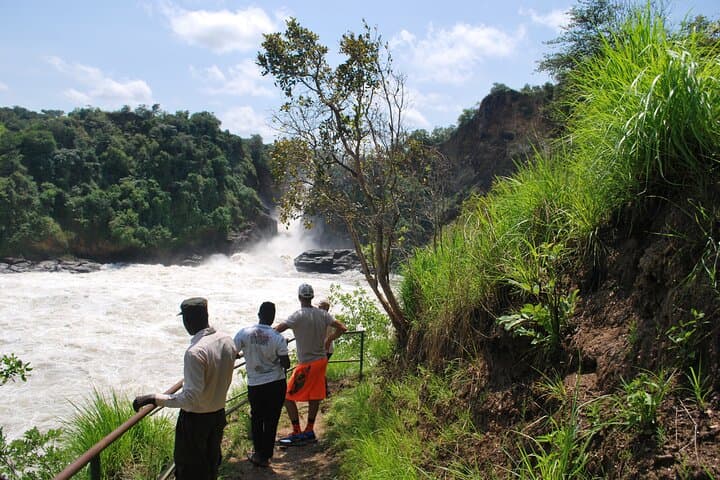 3-Day Murchison Falls Big Five Safari — Rhino Tracking, Game Drives & Nile Boat Trip photo 3