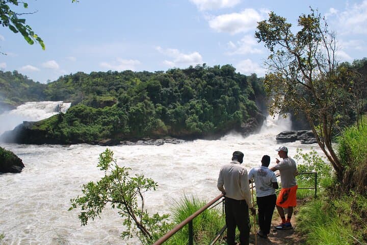 3-Day Murchison Falls Big Five Safari — Rhino Tracking, Game Drives & Nile Boat Trip photo 4