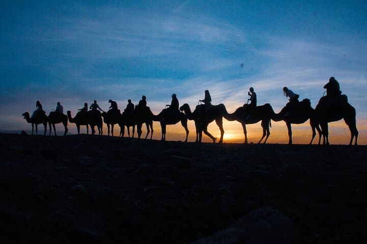 Agafay Desert Quad Biking, Camel Ride and Sunset Dinner from Marrakech photo 2