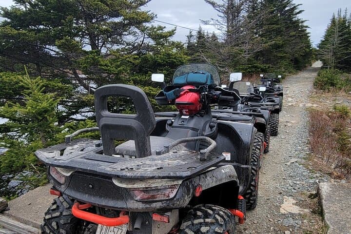 Trinity ATV Tour: 3.5-Hour Newfoundland Wilderness Ride on the T'Railway photo 6