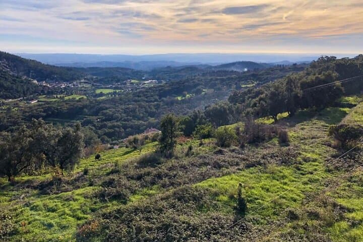 Monchique Day Trip: Foia Summit, Thermal Baths & Algarve Mountain Trails photo 2