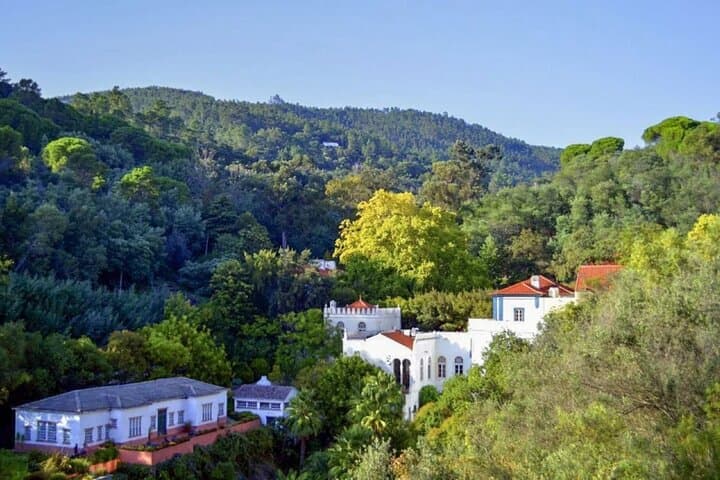 Monchique Day Trip: Foia Summit, Thermal Baths & Algarve Mountain Trails