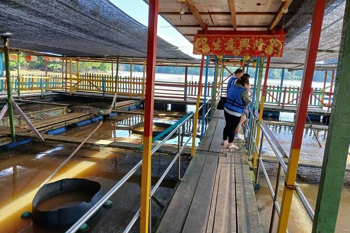 Kuala Sepetang Mangroves & Royal Kuala Kangsar Private Day Tour from Ipoh photo 2