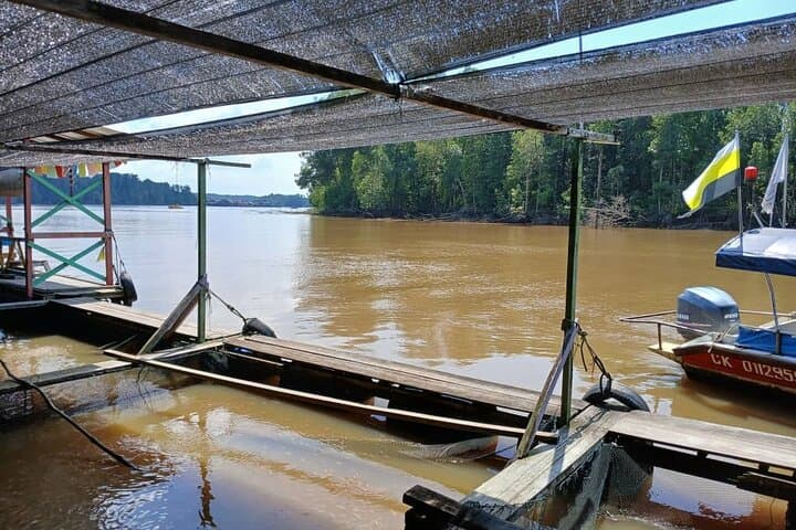 Kuala Sepetang Mangroves & Royal Kuala Kangsar Private Day Tour from Ipoh photo 3