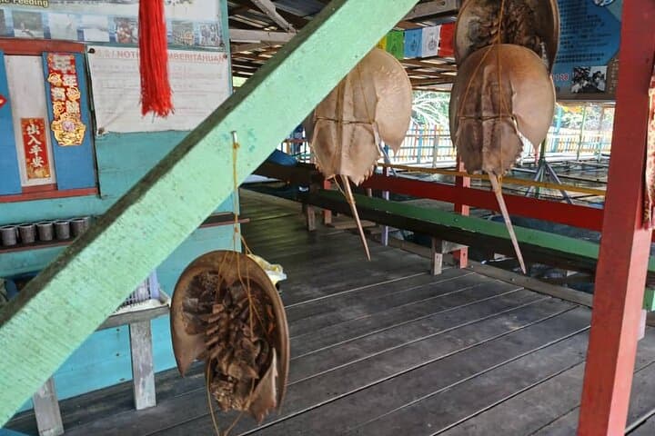 Kuala Sepetang Mangroves & Royal Kuala Kangsar Private Day Tour from Ipoh photo 4