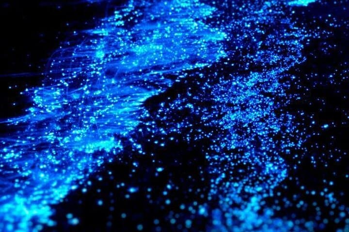 Full Clear Kayak Bioluminescent Experience at Mosquito Bay, Vieques photo 6