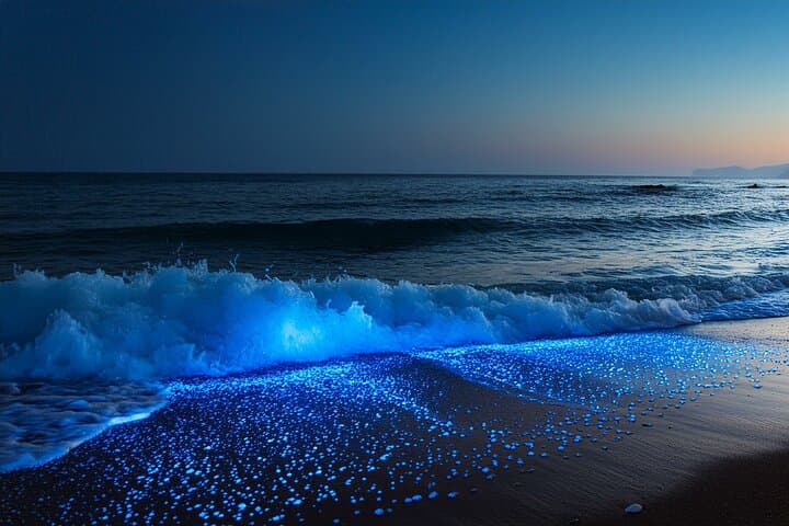 Full Clear Kayak Bioluminescent Experience at Mosquito Bay, Vieques photo 3