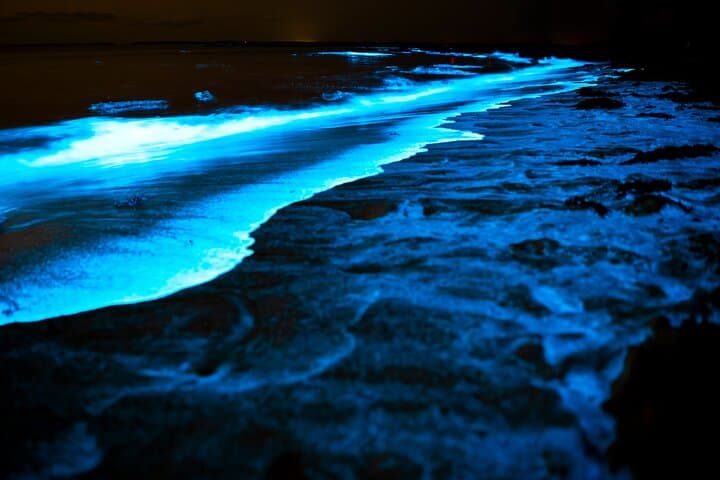 Full Clear Kayak Bioluminescent Experience at Mosquito Bay, Vieques photo 2
