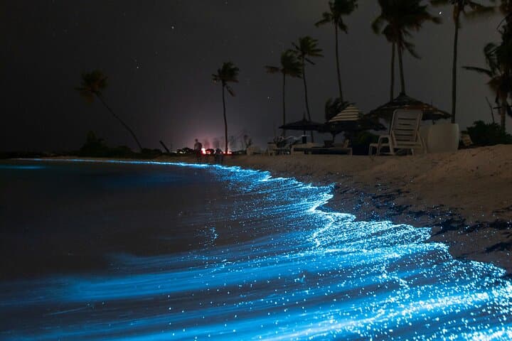Full Clear Kayak Bioluminescent Experience at Mosquito Bay, Vieques photo 4