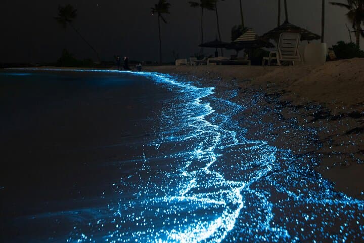 Full Clear Kayak Bioluminescent Experience at Mosquito Bay, Vieques photo 5