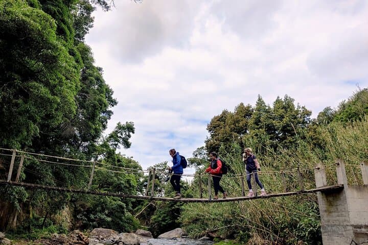 Waterfall Hike and Volcano-Cooked Dinner in São Miguel's Furnas photo 3