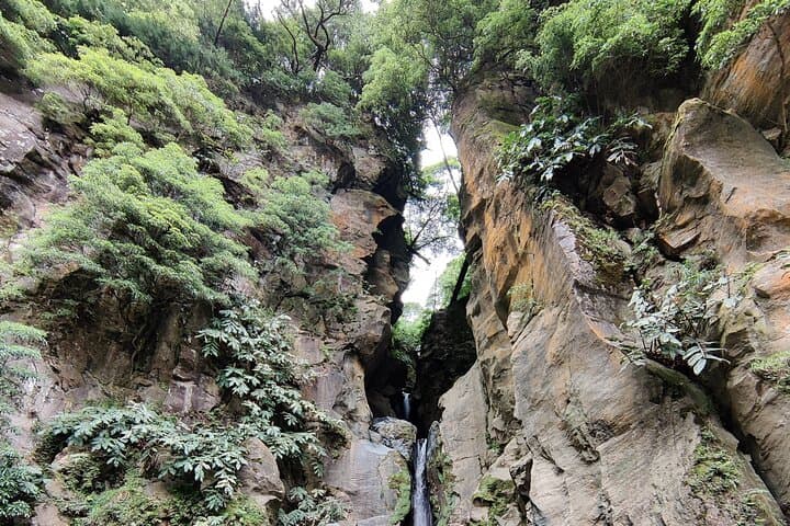 Waterfall Hike and Volcano-Cooked Dinner in São Miguel's Furnas photo 4