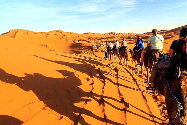 Private 8-Day Cairo & Nile Cruise — Pyramids to Luxor with Overnight Trains photo 3