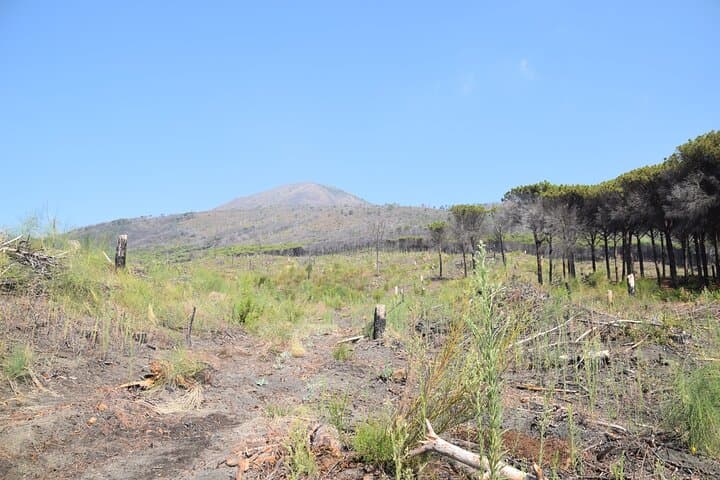 Pompeii Horseback Ride & Vesuvius Wine Tasting — Day Tour from Sorrento photo 3