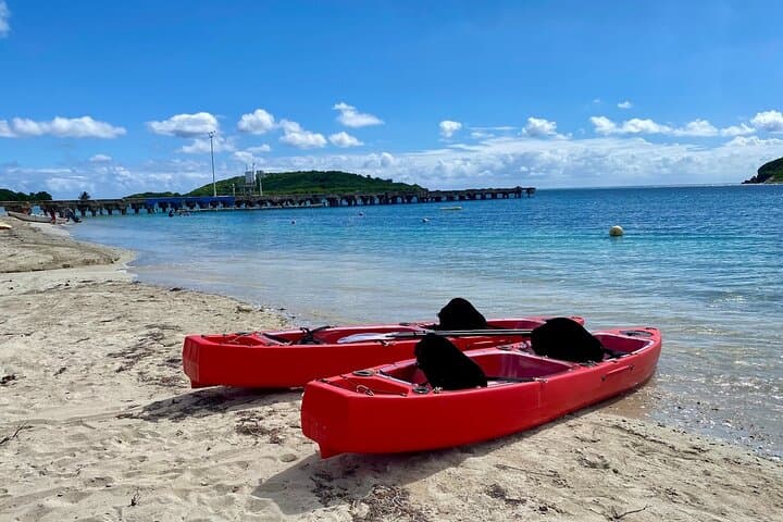 Clear-Bottom Kayaking and Snorkel at Cayo de Afuera — Vieques Bioluminescent Bay Tour photo 4