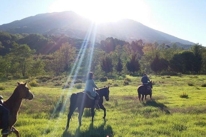 Vesuvius Horseback Ride, Pompeii Ruins & Wine Tasting — Private Full-Day Tour photo 2