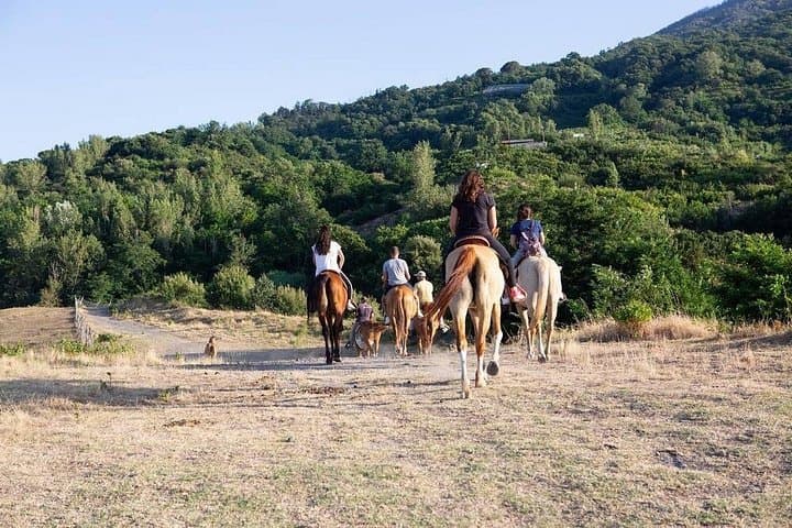 Vesuvius Horseback Ride, Pompeii Ruins & Wine Tasting — Private Full-Day Tour photo 1