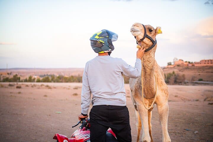 Agafay Desert Quad Ride, Camel Trek & Traditional Dinner Show Near Marrakech photo 6