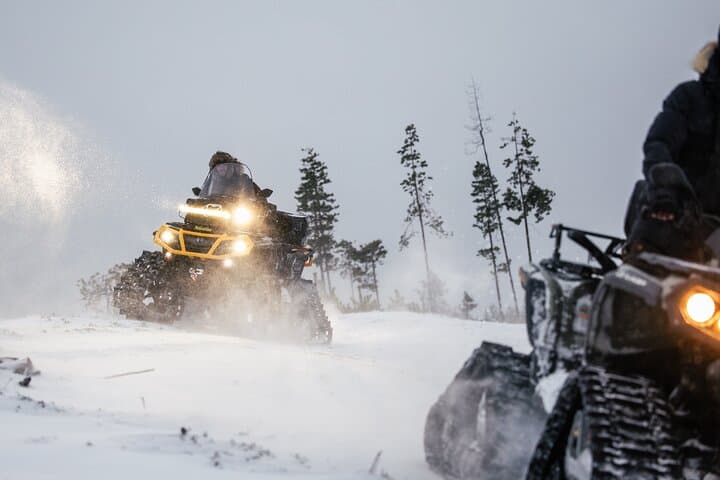 Snowmobile Safari and Glass Igloo Lunch in Rovaniemi: Winter Wilderness Experience photo 4