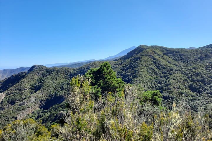 Cuevas Negras Canyon Hike — Teno Rural Park Guided Walk (4–4.5 hrs) photo 3