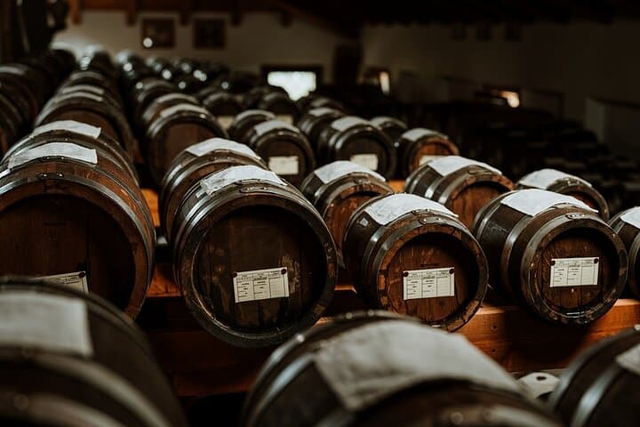 Modena Balsamic Vinegar Tasting & Enzo Ferrari Museum Day Experience photo 2