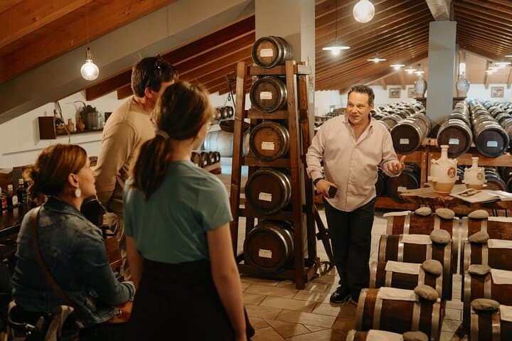 Modena Balsamic Vinegar Tasting & Enzo Ferrari Museum Day Experience photo 6